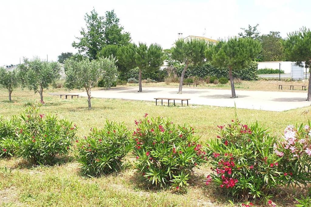 Villa Un Bol D'Air Frais Et De Soleil Entre Campagne Et Plage Béziers Exterior foto